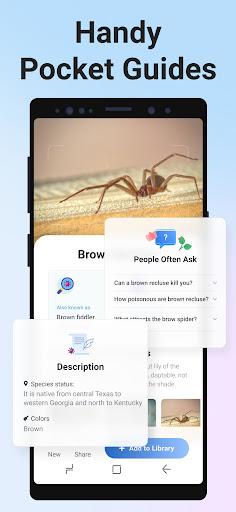 Picture Insect: Bug Identifier - Image screenshot of android app