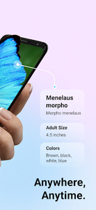 Picture Insect: Bug Identifier - Image screenshot of android app