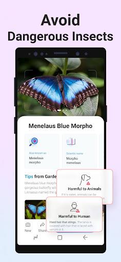 Picture Insect: Bug Identifier - Image screenshot of android app