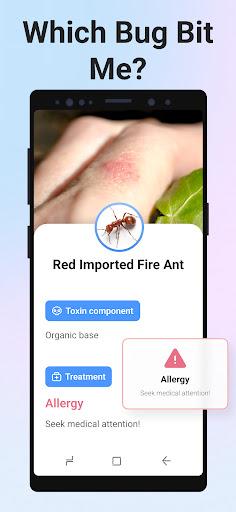 Picture Insect: Bug Identifier - Image screenshot of android app