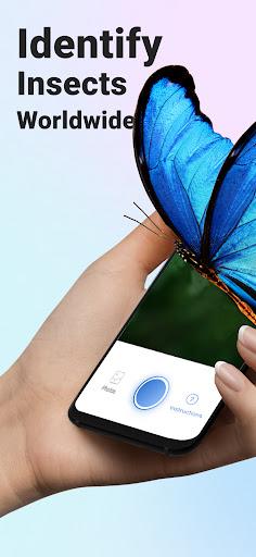 Picture Insect: Bug Identifier - Image screenshot of android app
