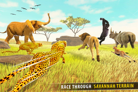 بازی Animal Racing Game 3D - دانلود | کافه بازار بازی Animal Racing Game 3D - دانلود | کافه بازار