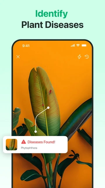 Plant ID: AI Plant Identifier - Image screenshot of android app