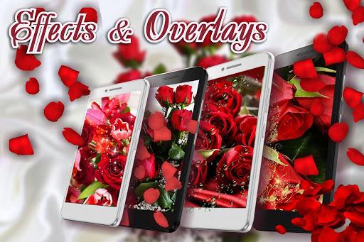 Red Roses Love live wallpaper - Image screenshot of android app