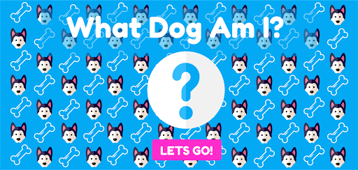 What Dog Am I? - Image screenshot of android app