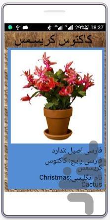 comprehensive training flowers - عکس برنامه موبایلی اندروید