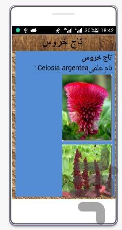 comprehensive training flowers - عکس برنامه موبایلی اندروید