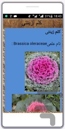 comprehensive training flowers - عکس برنامه موبایلی اندروید