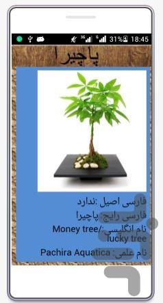 comprehensive training flowers - عکس برنامه موبایلی اندروید