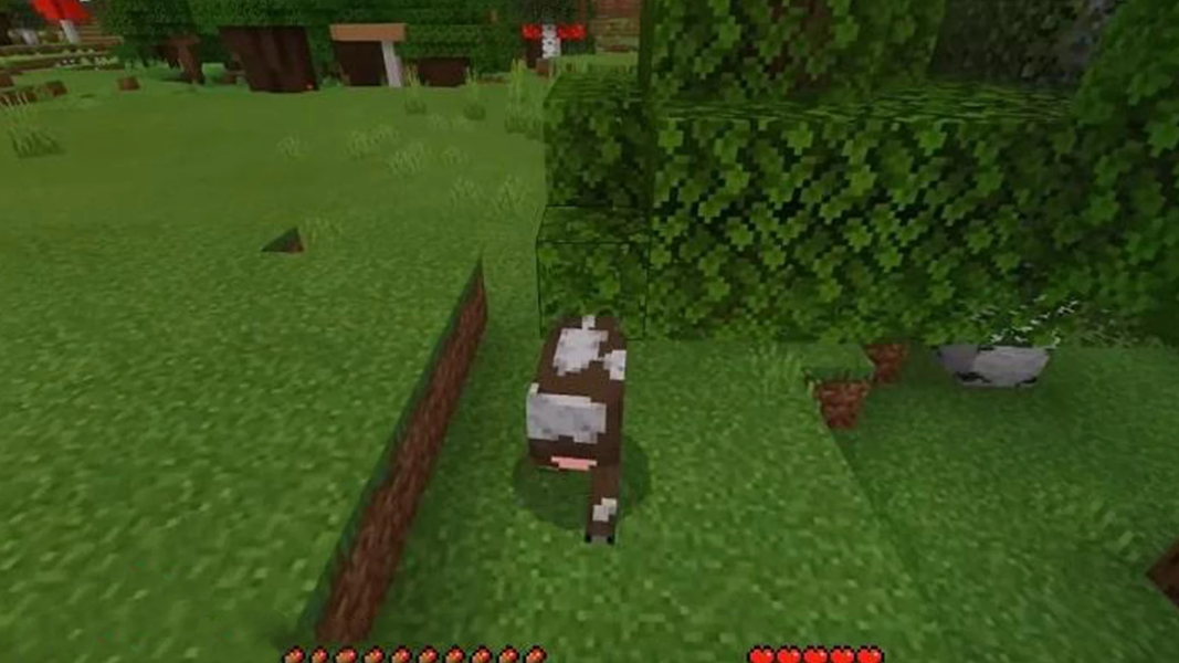 Morph Minecraft Mod - عکس برنامه موبایلی اندروید