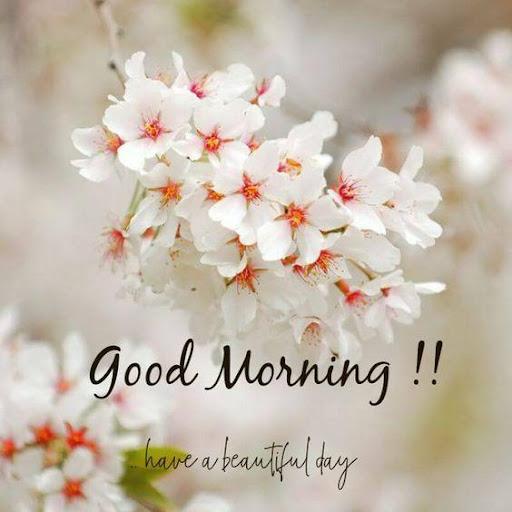 Good Morning Images App - عکس برنامه موبایلی اندروید