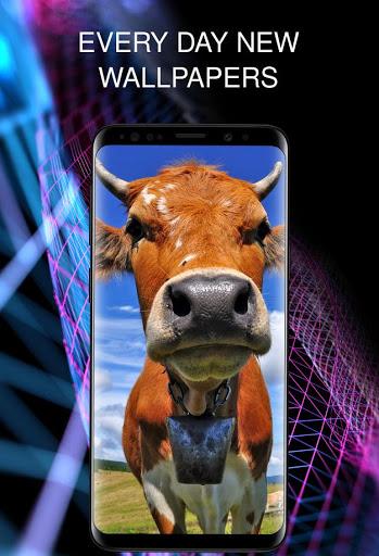 Animals wallpapers for phone - Image screenshot of android app