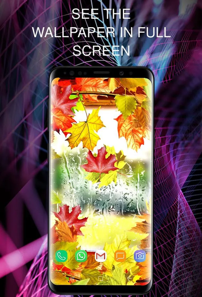 Autumn wallpapers 4K for phone - Image screenshot of android app