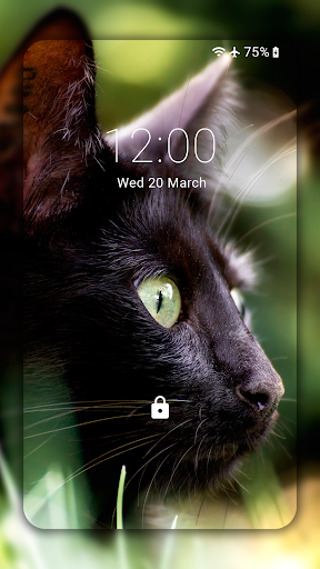Black Cat Wallpaper Full HD (backgrounds & themes) - Image screenshot of android app