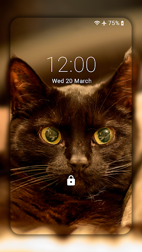 Black Cat Wallpaper Full HD (backgrounds & themes) - Image screenshot of android app