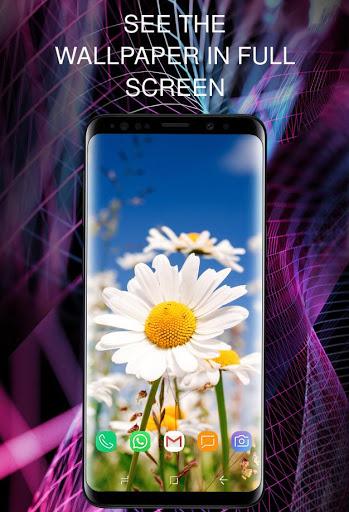Flowers wallpaper for phone - Image screenshot of android app