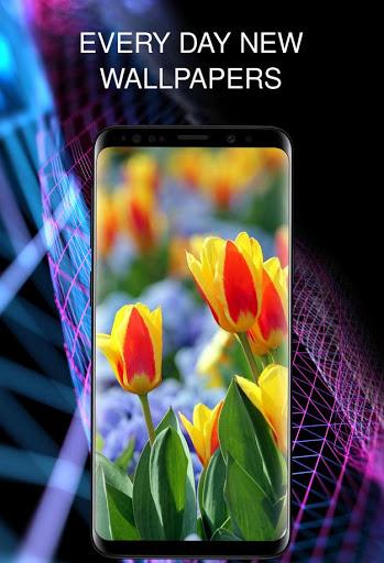 Flowers wallpaper for phone - Image screenshot of android app
