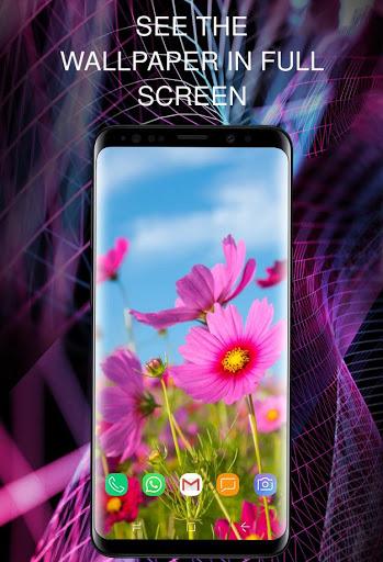 Spring wallpapers for phone - Image screenshot of android app