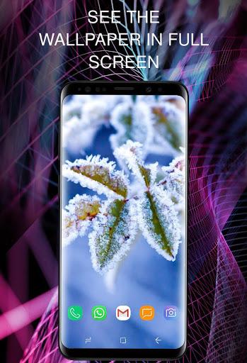 Winter wallpapers 2024 - Image screenshot of android app
