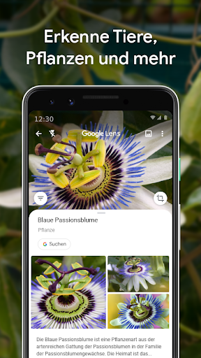 Google Lens - جستجوی تصویری - عکس برنامه موبایلی اندروید