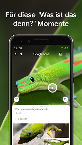 Google Lens - عکس برنامه موبایلی اندروید