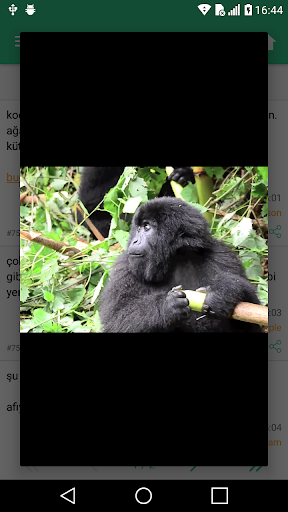 Şükela Reader - عکس برنامه موبایلی اندروید