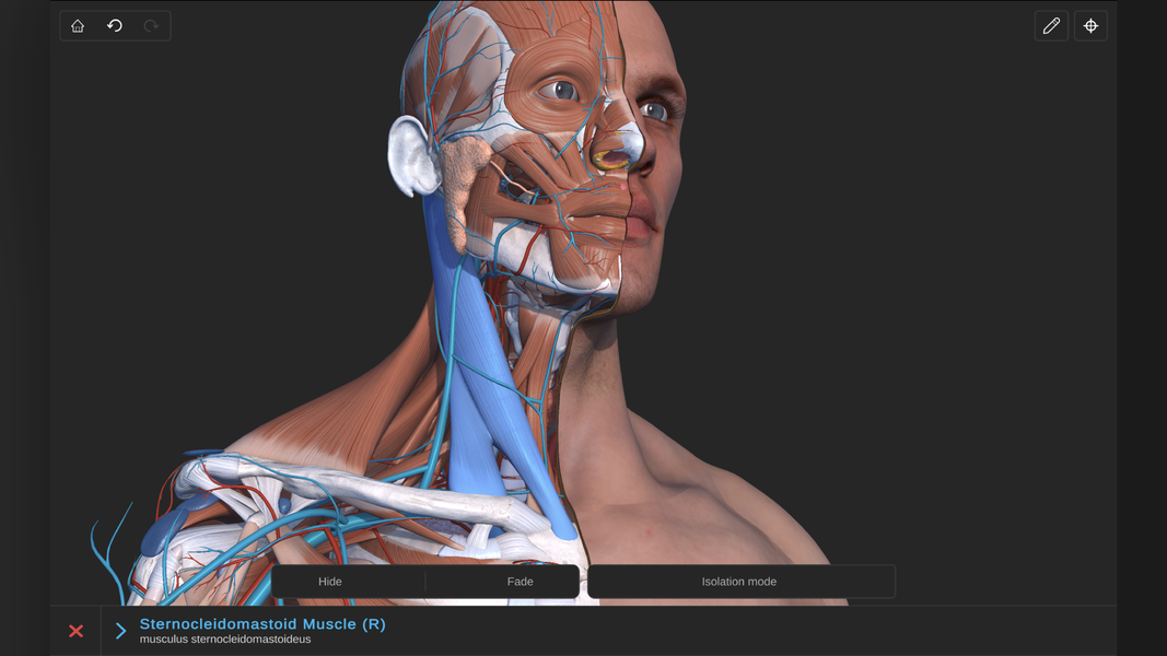 Visual Anatomy ۳D - Human body - عکس برنامه موبایلی اندروید