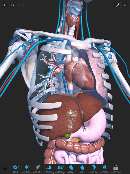 Visual Anatomy ۳D - Human body - عکس برنامه موبایلی اندروید