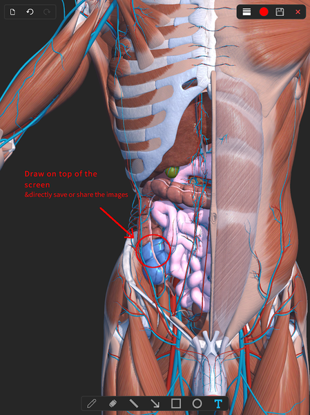 Visual Anatomy ۳D - Human body - عکس برنامه موبایلی اندروید