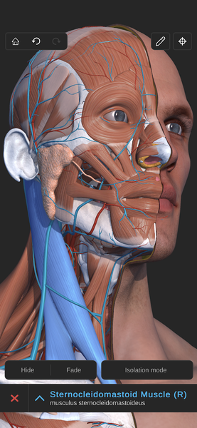 Visual Anatomy 3D - Human body - Image screenshot of android app