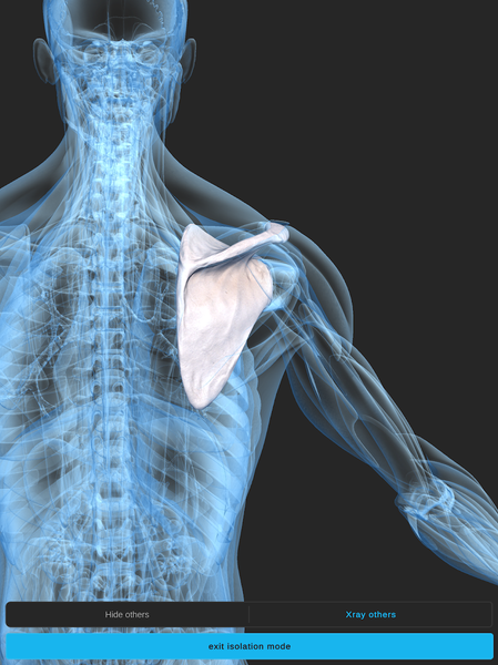 Visual Anatomy ۳D - Human body - عکس برنامه موبایلی اندروید