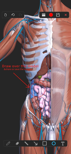 Visual Anatomy ۳D - Human body - عکس برنامه موبایلی اندروید