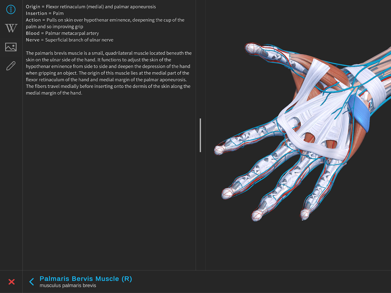 Visual Anatomy ۳D - Human body - عکس برنامه موبایلی اندروید