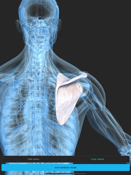 Visual Anatomy ۳D - Human body - عکس برنامه موبایلی اندروید