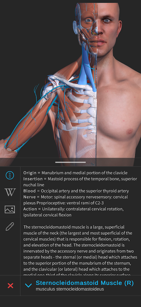 Visual Anatomy 3D - Human body - عکس برنامه موبایلی اندروید