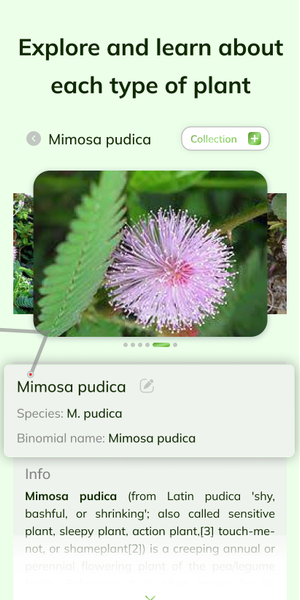 FloraFinder: Plant ID - Image screenshot of android app