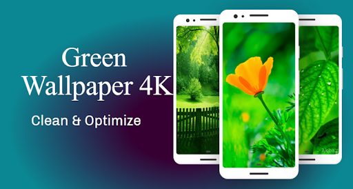 Green Wallpaper 4K, Green Shades background - Image screenshot of android app