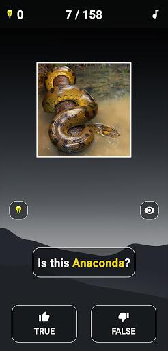 Animal Quiz: Guess the Animal - Image screenshot of android app