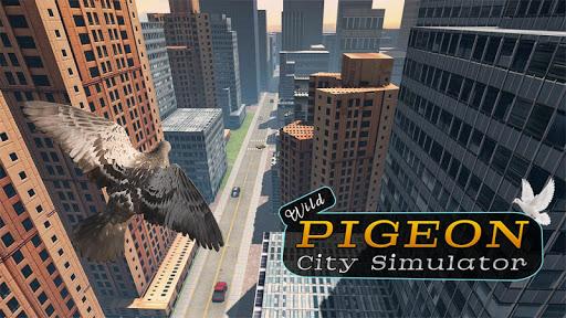 Wild Pigeon Birds Simulator 3D - Gameplay image of android game