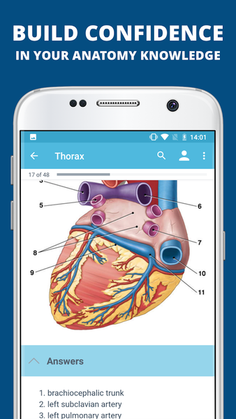 USMLE Clinical Anatomy - عکس برنامه موبایلی اندروید