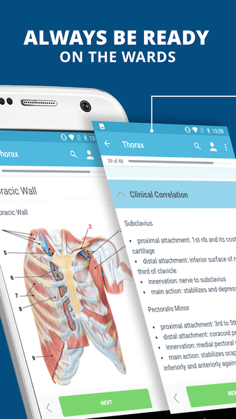USMLE Clinical Anatomy - Image screenshot of android app
