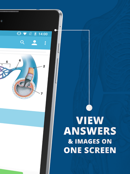 USMLE Clinical Anatomy - عکس برنامه موبایلی اندروید