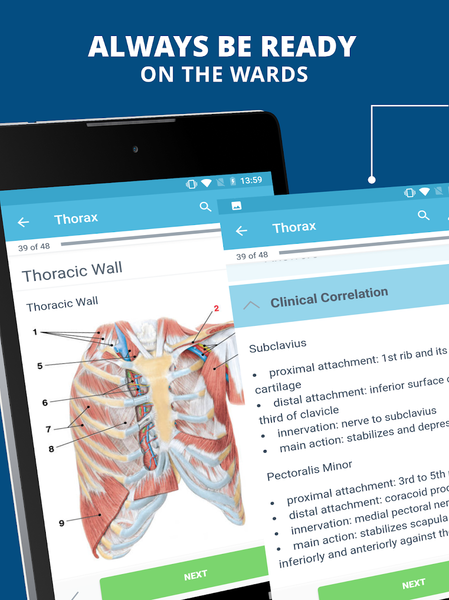 USMLE Clinical Anatomy - عکس برنامه موبایلی اندروید
