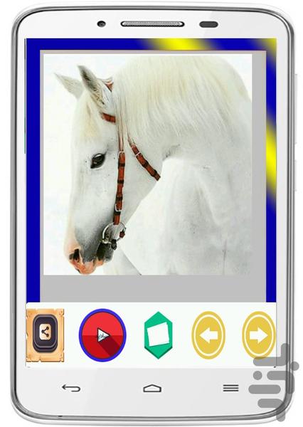 Wallpapers White Horse - Image screenshot of android app