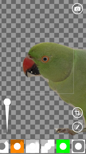 AI Green Screen - Image screenshot of android app