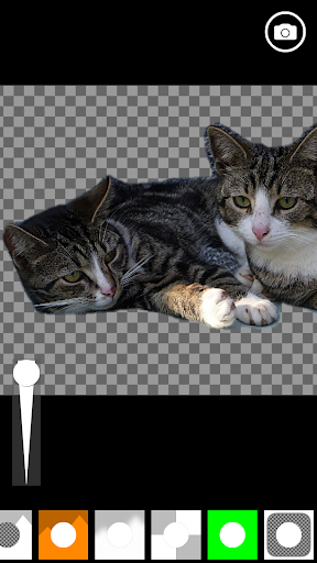 AI Green Screen - Image screenshot of android app