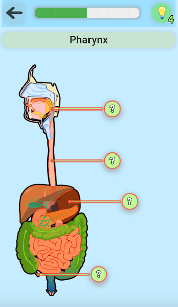 دانلود بازی Anatomy Game اندروید | بازار