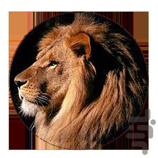 آقای شیر/صدای حیوانات - عکس برنامه موبایلی اندروید