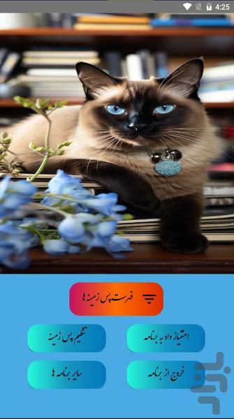 پس زمینه گربه/شیک ترین - Image screenshot of android app