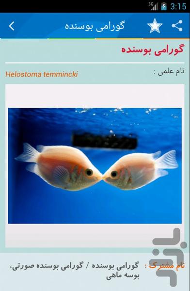 ماهی (دمو) - عکس برنامه موبایلی اندروید